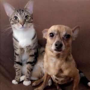 Like this and come back for amazing finds!!! 🎉🛍